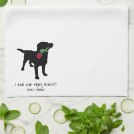 Perro negro del laboratorio con toalla de cocina r