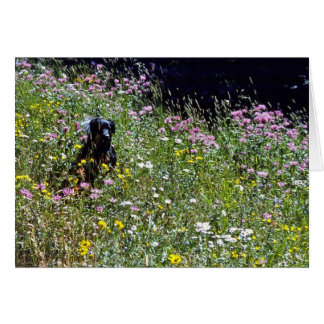 Perro negro en flores