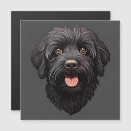 Perro negro Labradoodle