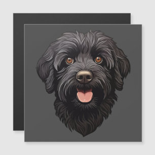 Perro negro Labradoodle