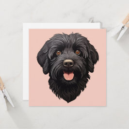 Perro negro Labradoodle