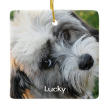 Perro Ornamentos de Navidad Foto cerámica cuadrada