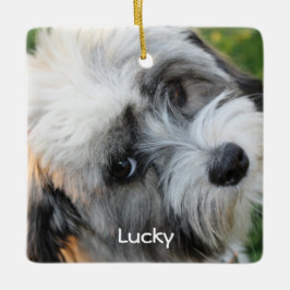 Perro Ornamentos de Navidad Foto cerámica cuadrada