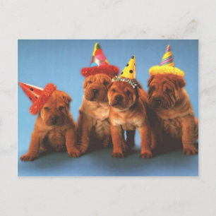 Perro oscuro, tarjetas de fotos de cachorros, rega