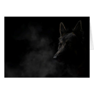 Perro pastor alemán