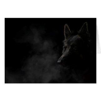 Perro pastor alemán