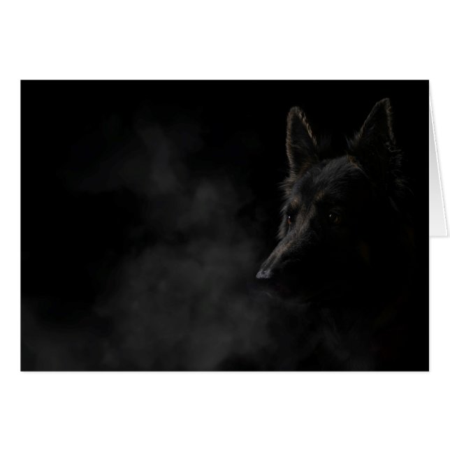 Perro pastor alemán (Anverso (Horizontal))