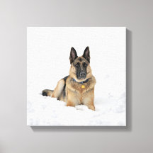 Perro pastor alemán en papel de lienzo de nieve