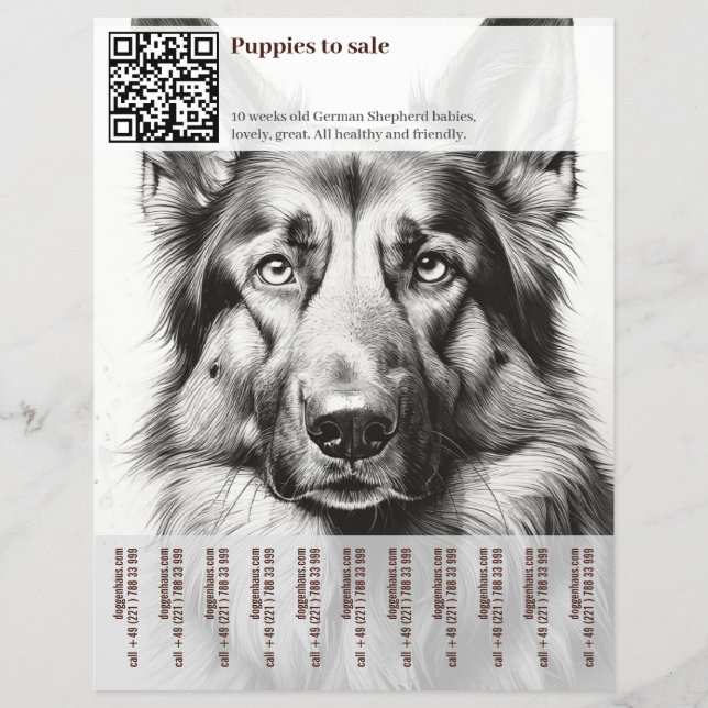 Perro Pastor Alemán Folleto (Frente)