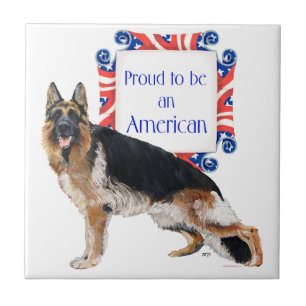 Perro Pastor Alemán Teja Americana