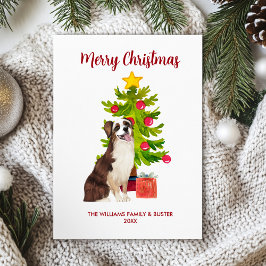 Perro Pastor Australiano Navidad