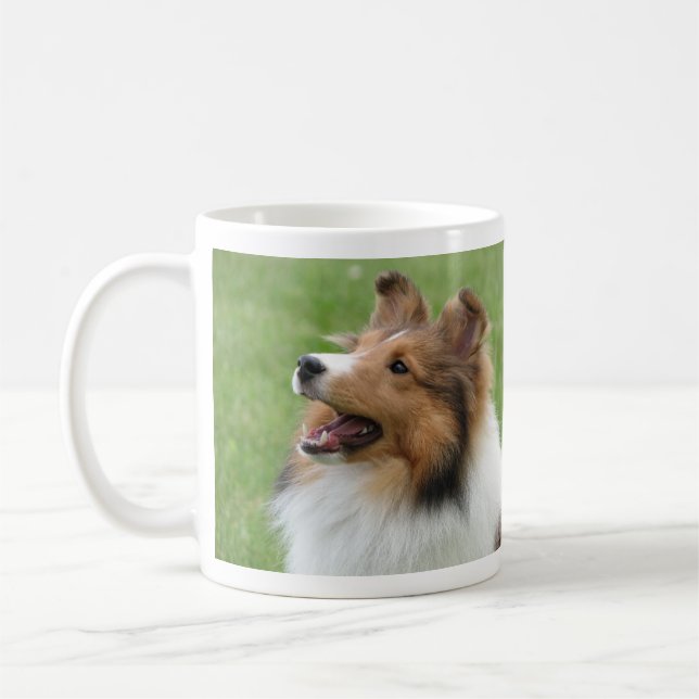 Perro pastor de Shetland en la taza (Izquierda)