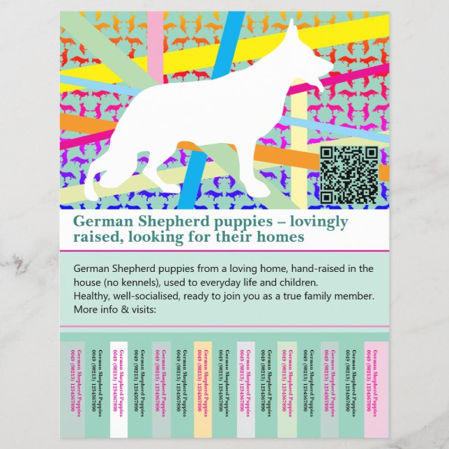 Perro Pastor Máximo Flyer personalizado (Frente)