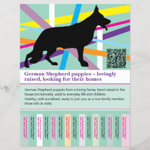 Perro Pastor Máximo Flyer personalizado