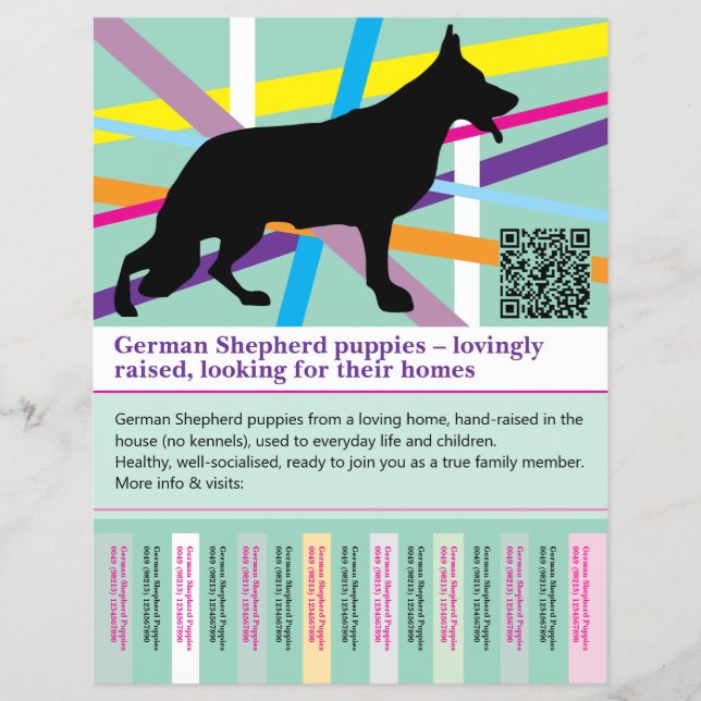 Perro Pastor Máximo Flyer personalizado (Frente)