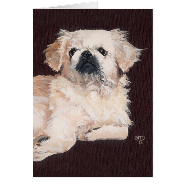 Perro Pekín blanco (Frente)
