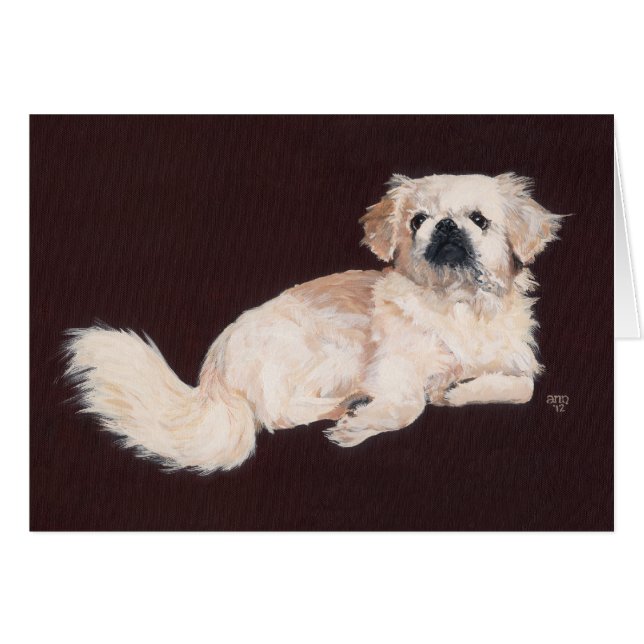 Perro Pekín blanco (Anverso (Horizontal))