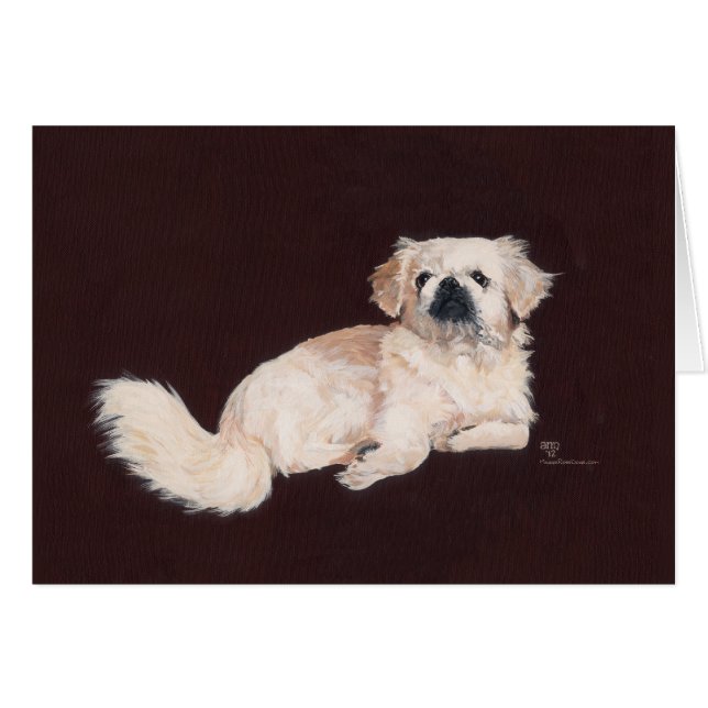 Perro pekinés blanco (Anverso (Horizontal))