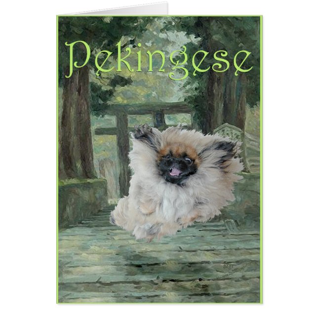 Perro pequinés puerta oriental (Frente)
