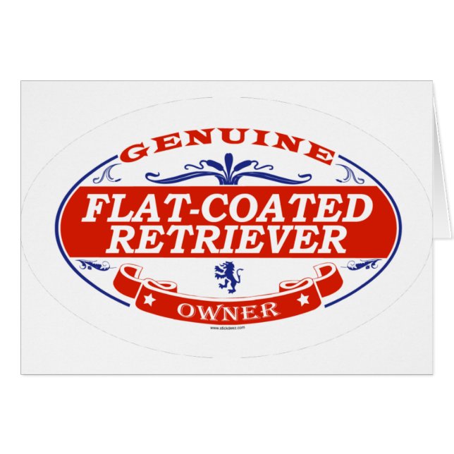 Perro perdiguero Plano-Revestido (Anverso (Horizontal))