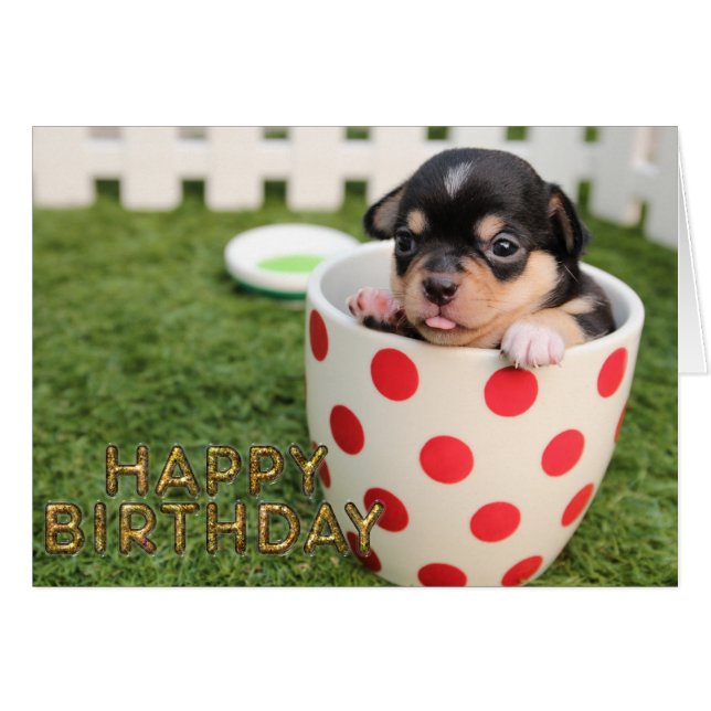 Perro perrito (Anverso (Horizontal))