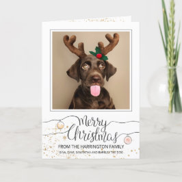 Perro personalizado con cuernos en foto de Navidad