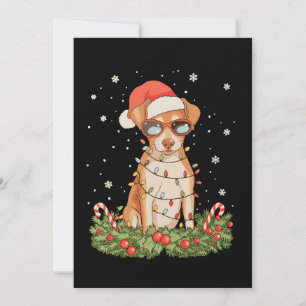 Perro Pinscher de Navidad Xmas Sombrero de Santa F