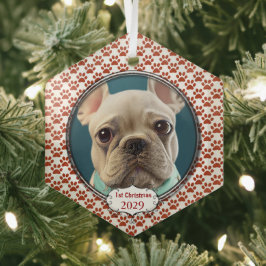 Perro plateado traza mis primeros ornamentos de fo