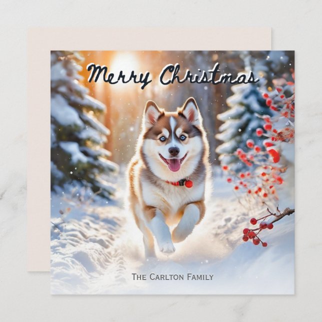 Perro Pomsky En Invierno De Nieve Feliz Navidad (Anverso / Reverso)