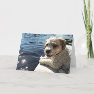 Perro por una tarjeta de felicitación del lago
