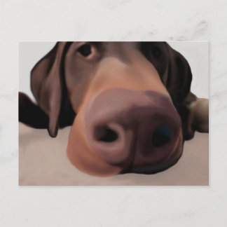 Perro postales nariz grande pintado
