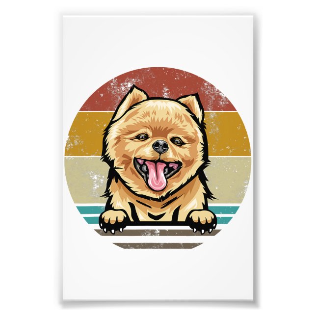 Perro Premium Papel satinado Foto Ampliación de la (Frente)