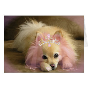 PERRO PRINCESO DE FAIRY