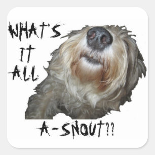 Perro "¿QUÉ ES TODO A-SNOUT?" Pegatinas - Conjunto