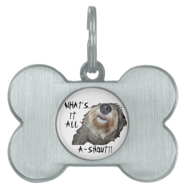 Perro "¿QUÉ ES TODO A-SNOUT?" Placa para mascotas (Frente)