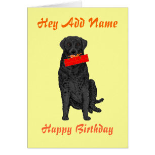 Perro que lleva a cabo el presente de cumpleaños