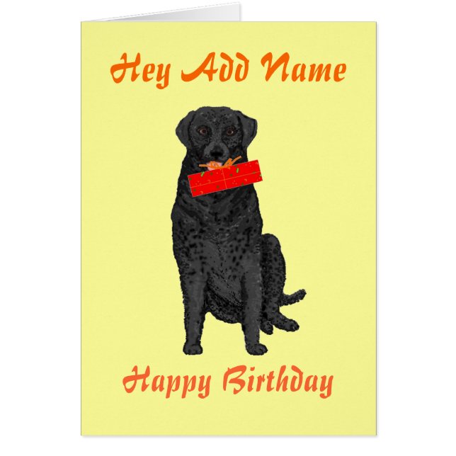 Perro que lleva a cabo el presente de cumpleaños (Frente)