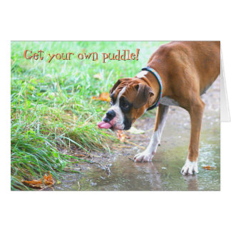 Perro que pega la lengua hacia fuera con la