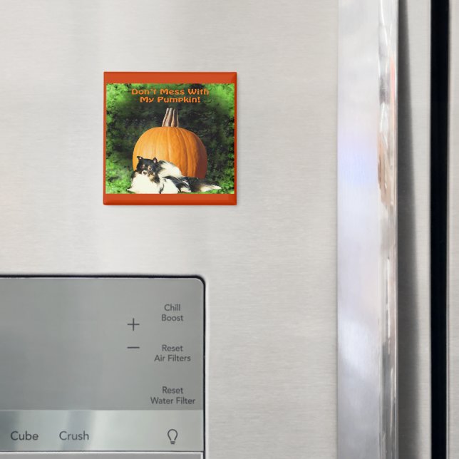 Perro que protege el imán de calabaza grande (In situ (nevera))