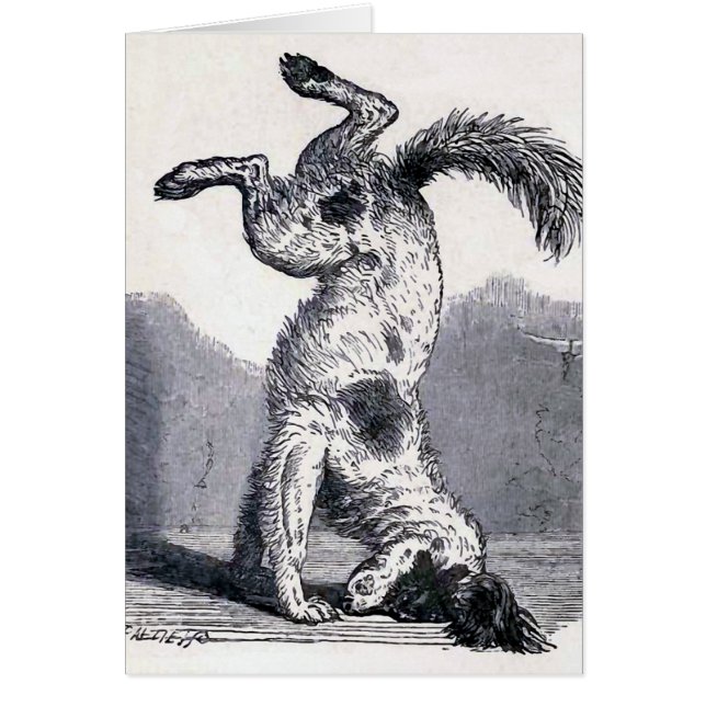 "Perro que se coloca en su principal " (Frente)