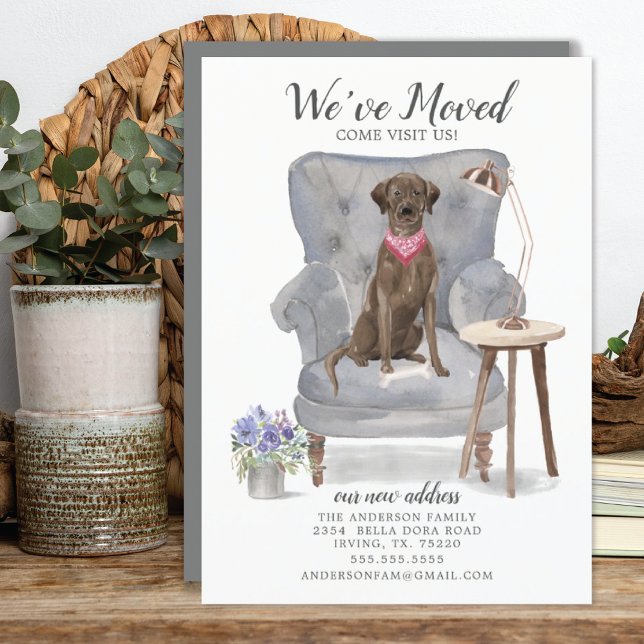 Perro recuperador de labrador marrón | Invitación  (Subido por el creador)