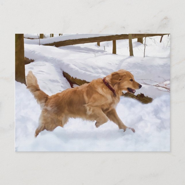 Perro recuperador de oro en postal de nieve (Anverso)