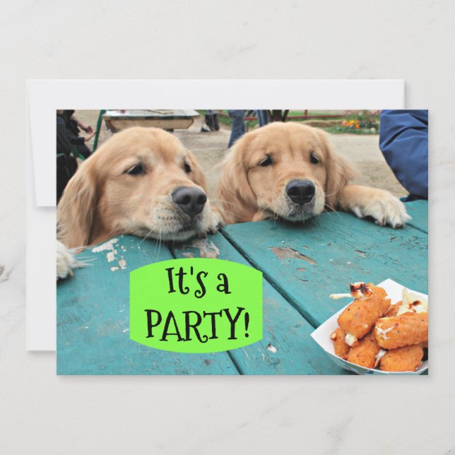 Perro recuperador de oro es una invitación de fies (Anverso)