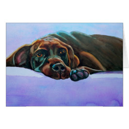 Perro Relajado del Laboratorio de Chocolate