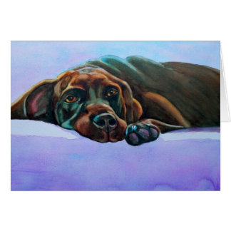 Perro Relajado del Laboratorio de Chocolate