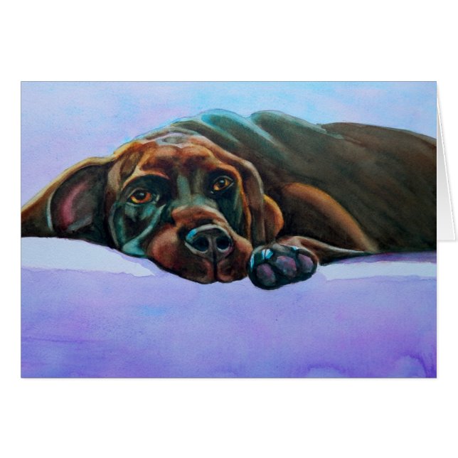 Perro Relajado del Laboratorio de Chocolate (Anverso (Horizontal))