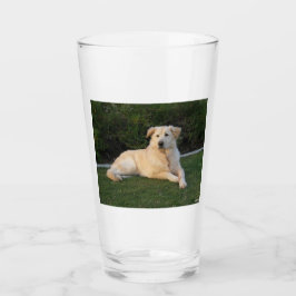 Perro Relajante