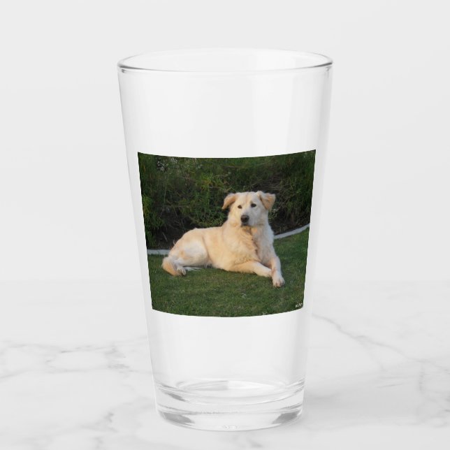 Perro relajante (Anverso)