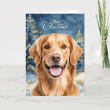 Perro Retriever Dorado Bosque Navidad