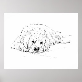 Perro Retriever Dorado Durmiendo, Impresión de Art